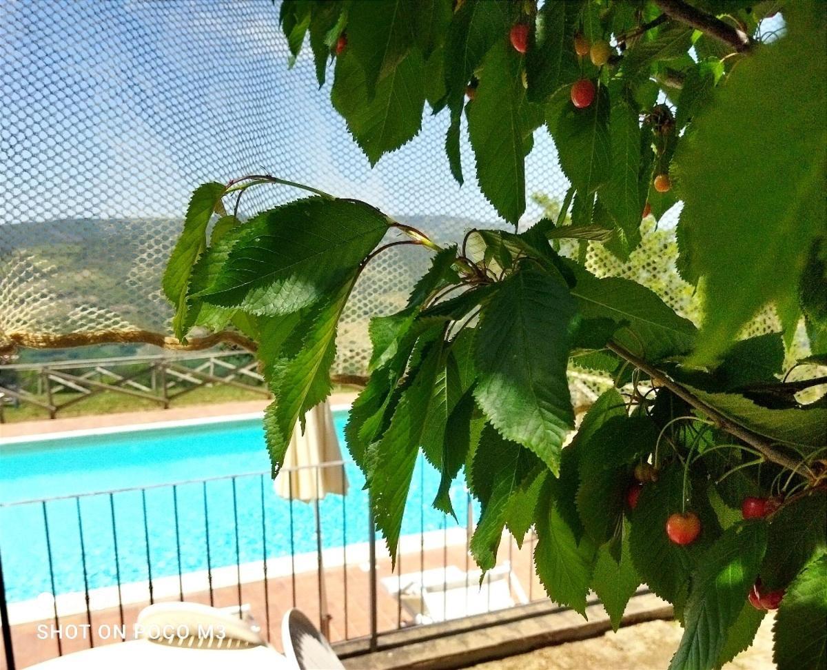 منزل الضيف Castiglione dʼOrcia  في Poggio Al Vento المظهر الخارجي الصورة