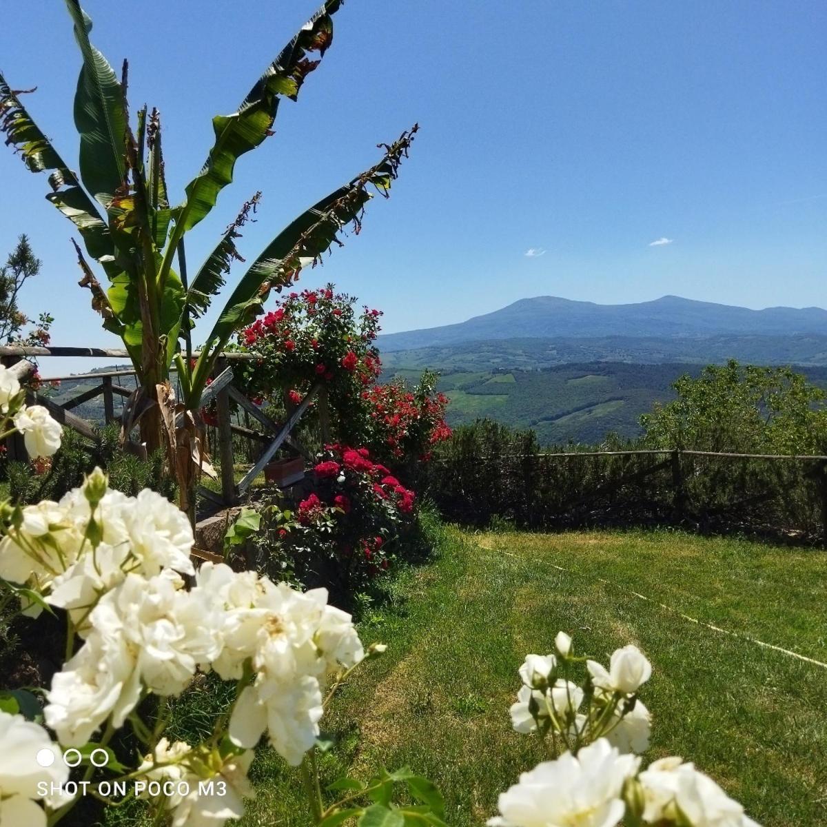 منزل الضيف Castiglione dʼOrcia  في Poggio Al Vento المظهر الخارجي الصورة