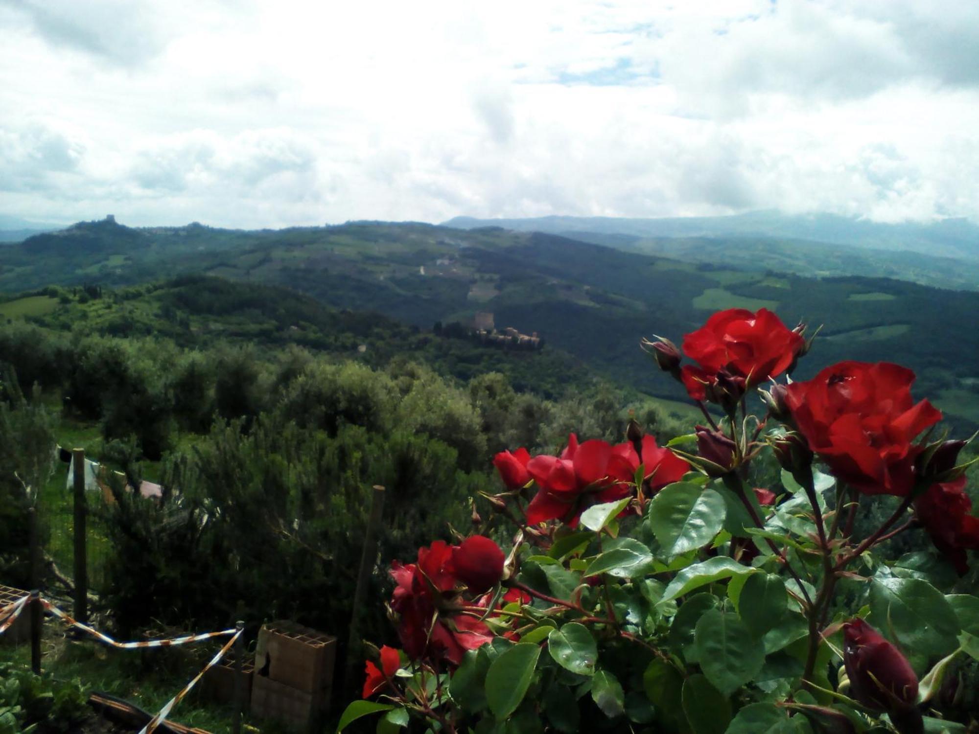 منزل الضيف Castiglione dʼOrcia  في Poggio Al Vento المظهر الخارجي الصورة
